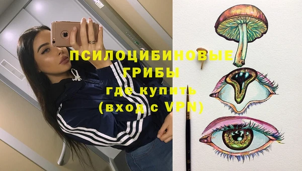 твердый Верея