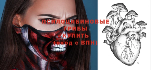2c-b Верхний Тагил